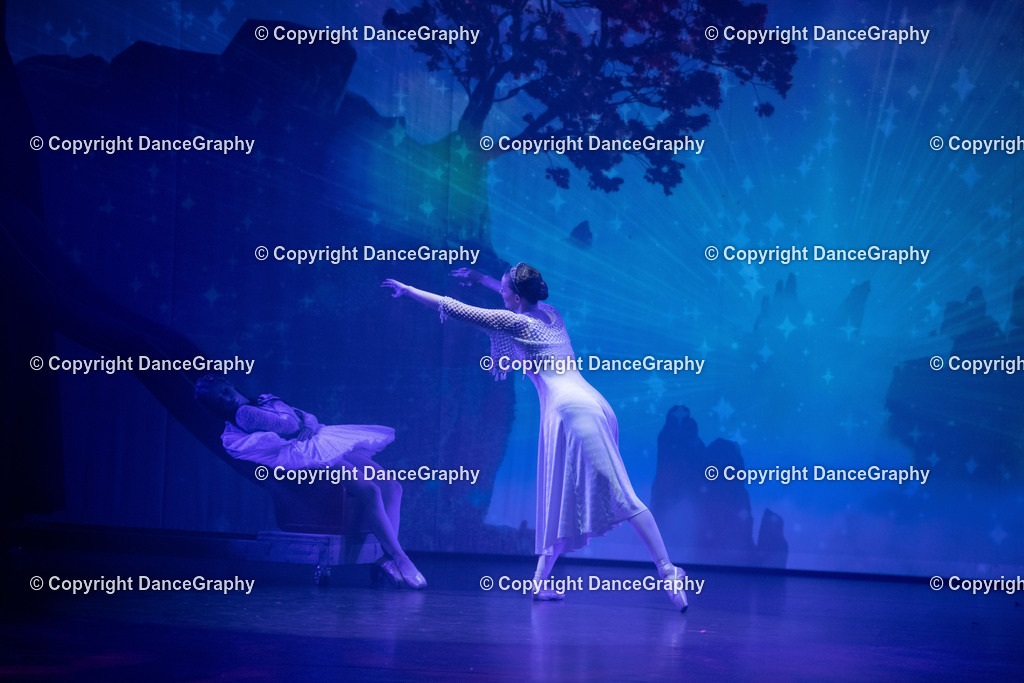 GPHY2258 | DanceGraphy - Realisiert mit Pictrs.com