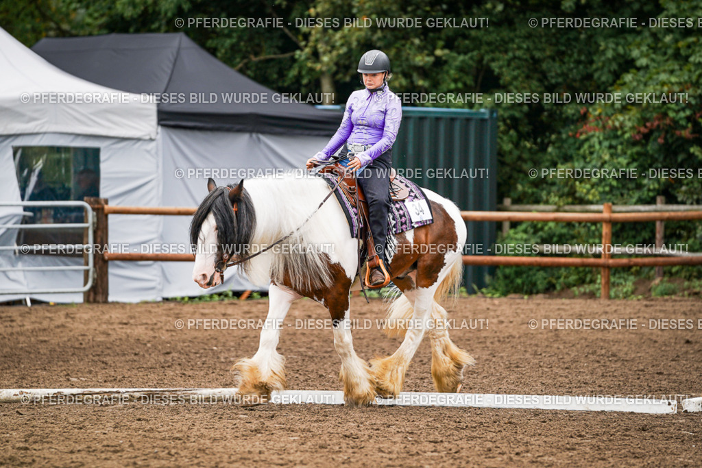 DSC03436 | Pferdegrafie