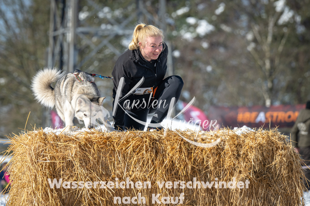 1125_ZZ91997-3 | kk-dogfotos
