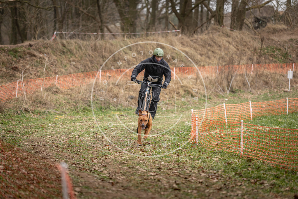 Pfotenfotografie_DV3A6816 | Hundefotografie, Tierfotograf, Pfotenfotografie, Fotoshooting Hund, Hunde Portrait, Hundesport, Hundeportraits, Heideshooting, Hunde, Sportfotograf, Hundefotograf, Turnierhundsport, THS,  - Realisiert mit Pictrs.com