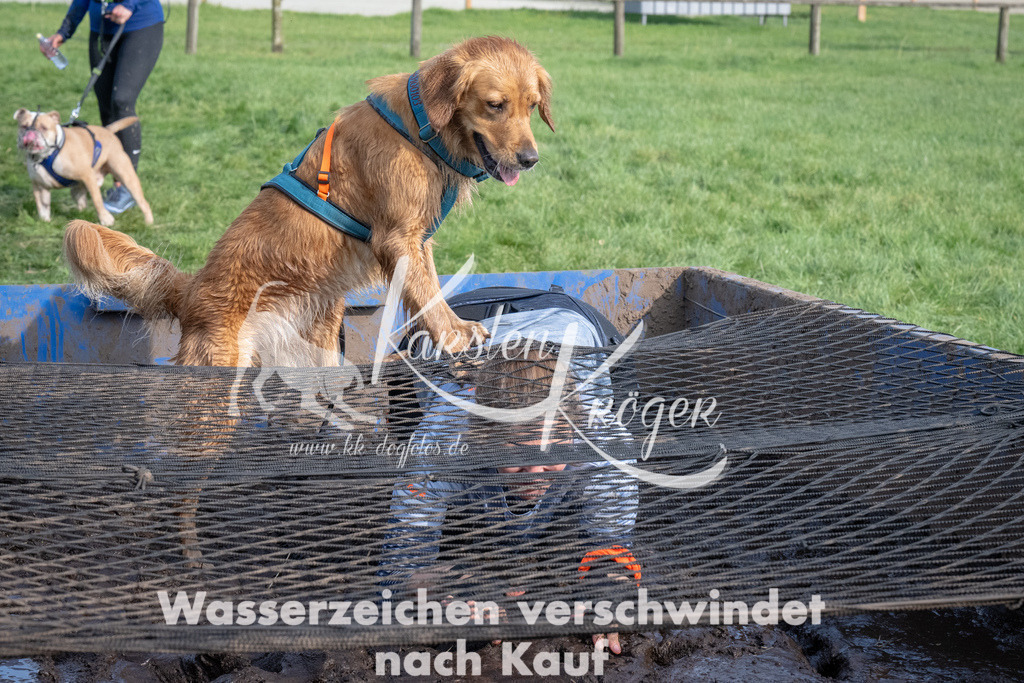 1609_ZZ91771 | kk-dogfotos