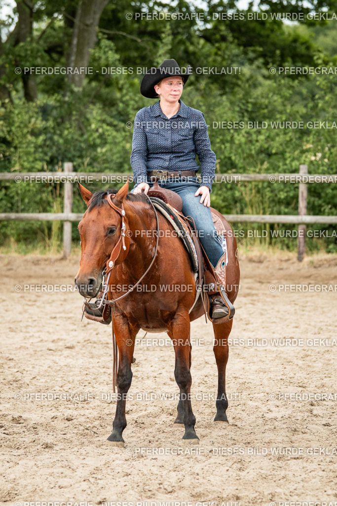 DSC04586 | Pferdegrafie