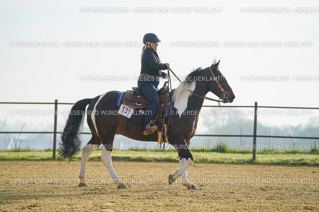 DSC09841 | Pferdegrafie