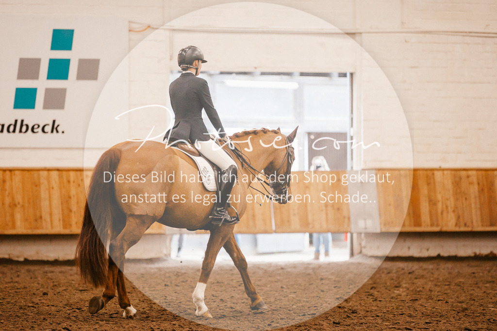 3I6A2946 | Stimmungsvolle Portraits und Reitsportfotografie im Ruhrgebiet und im Münsterland.

Pferdefotografie, Hundefotografie, Tierfotografie, Reportagen, Portraits von Tier und Mensch, Turnierfotografie in Bochum, Recklinghausen, Marl, Haltern am See, Dülmen.. - Realisiert mit Pictrs.com