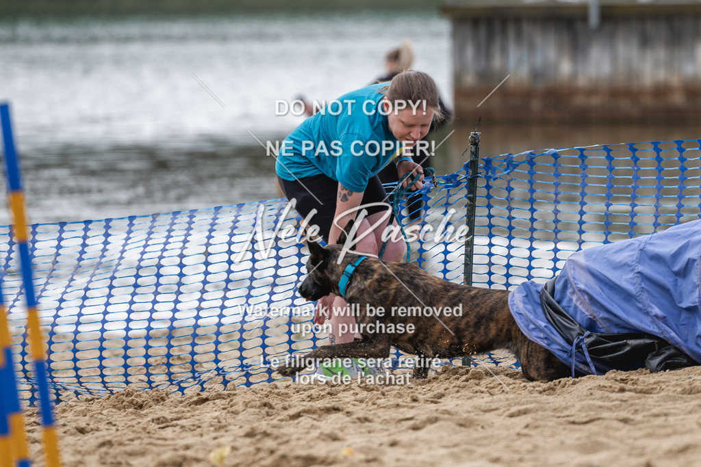 nelerasche_BuHu2026_So1530-Ende_102 | nelerasche