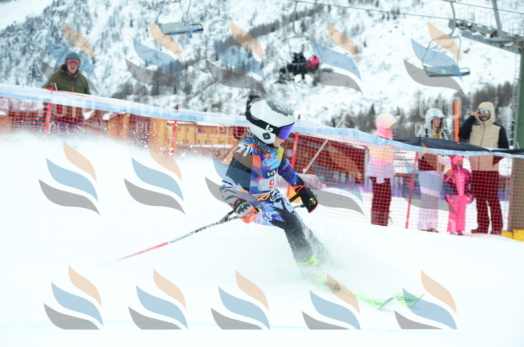 DSC_0695 | holidayphoto