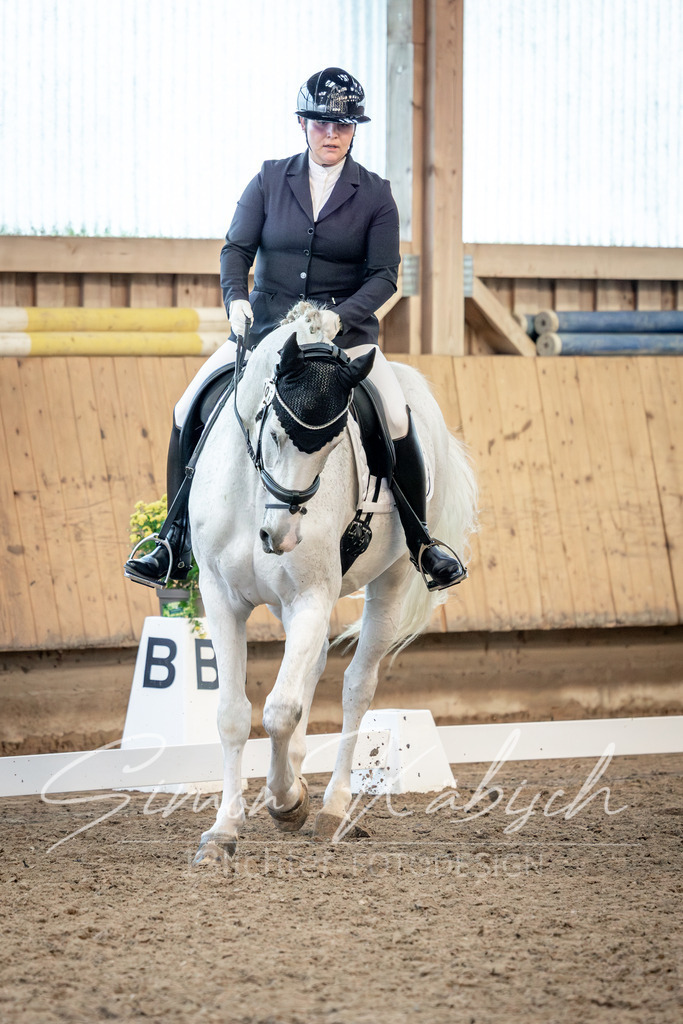 20251011-_3LI6227 | Tierfotografie Pferde, Hunde, Katzen, Haustiere.
Turnierfotografie Reitturniere, Reiten, Springreiten, Dressur in Hanau, dem Main-Kinzig-Kreis und dem Rhein-Main- Gebiet um Frankfurt