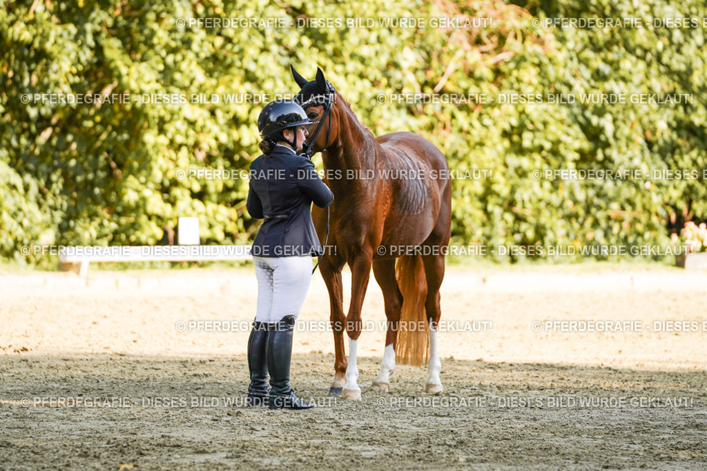 DSC06543 | Pferdegrafie