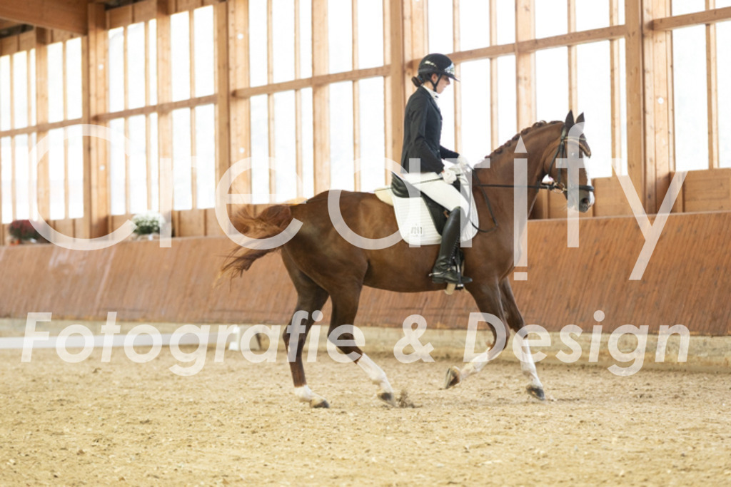 IMG_1403 | Creatify Fotografie