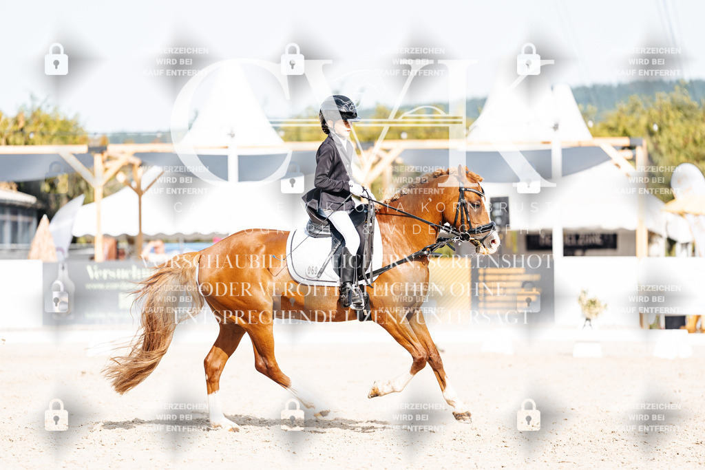 CK905267 | Turnierfotografie Pferdefotografie Trier Rheinland-Pfalz Pferdesport Reitsport Tierfotografie Sportfotografie Pferdevideo Pferdevideografie Equestrianvideography equestrianphotography  - Realisiert mit Pictrs.com