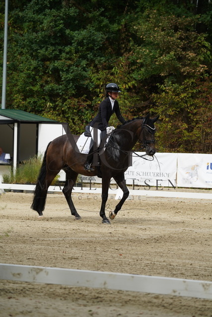 VAN03239 | Marie Giesen Fotografie - Realisiert mit Pictrs.com