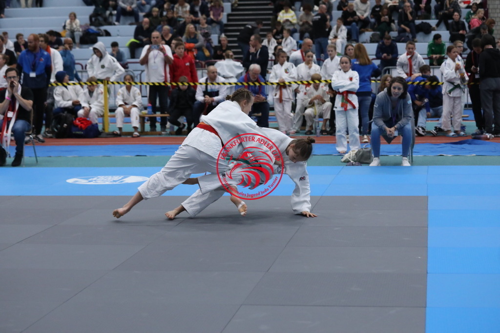 1J7A2319 | Fotos vom Adler Cup - Pictures from Adler Cup

Hier findet Ihr alle Eindrücke und großen Momente der Adler Cup Wochenenden. Here you will find all impressions and great moments of the Adler Cup weekends. - Realisiert mit Pictrs.com