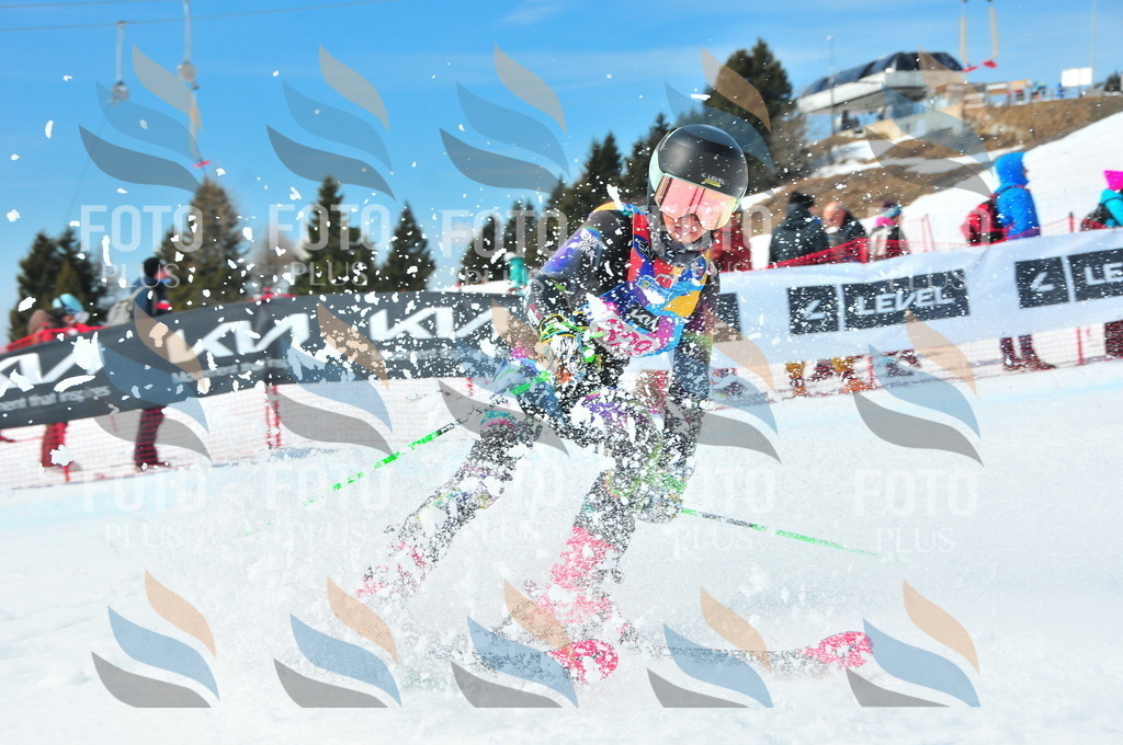 DSC_6797 | holidayphoto