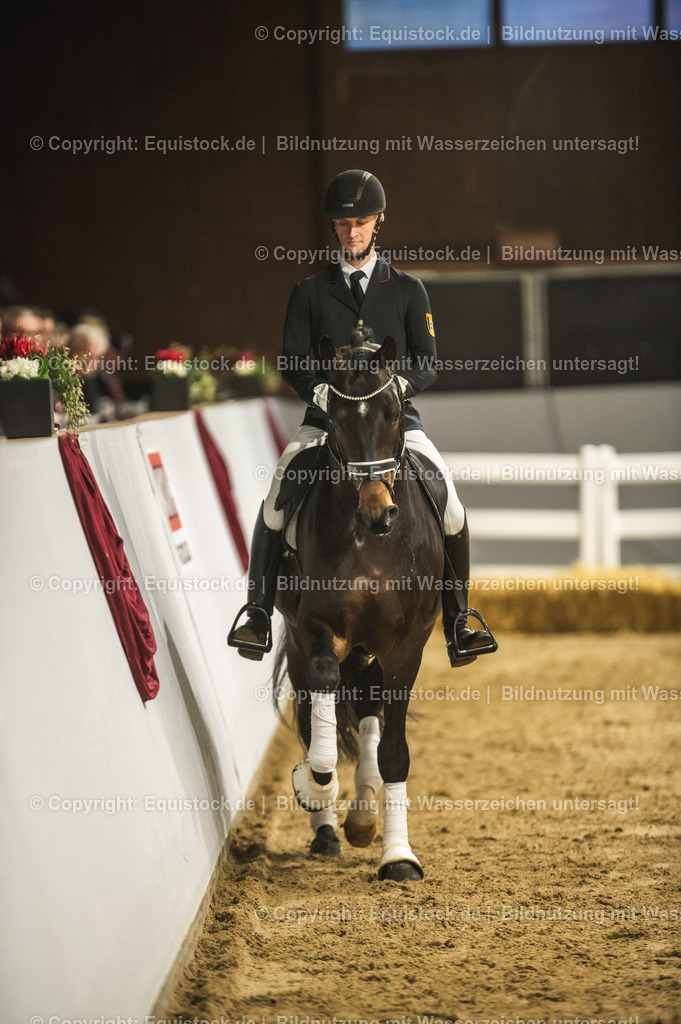 20240302_Hengstvorstellung_Marbach_TOMsPiC_0377 | equistock