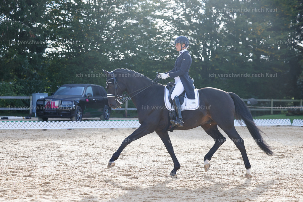 09_1-115-DRESSUR  S_  -StoibPH-5594 | working equitationturnier fotograf videograf stoibphotography marixx film working equitation deutschland reitsport turnierfotografie eventfotografie equestrian events
