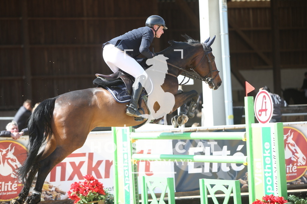 PP015208 | Willkommen bei Brunnmayr - Design & Fotografie – Ihrem Spezialisten für Reitturniere und Pferdeveranstaltungen in Oberösterreich, Salzburg und Bayern! Seit über 17 Jahren sind wir leidenschaftlich dabei.