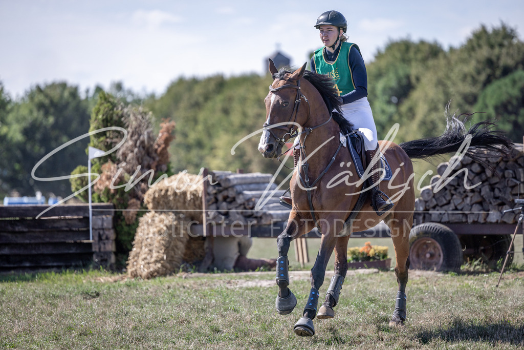 20260906-_3LI5118 | Tierfotografie Pferde, Hunde, Katzen, Haustiere.
Turnierfotografie Reitturniere, Reiten, Springreiten, Dressur in Hanau, dem Main-Kinzig-Kreis und dem Rhein-Main- Gebiet um Frankfurt