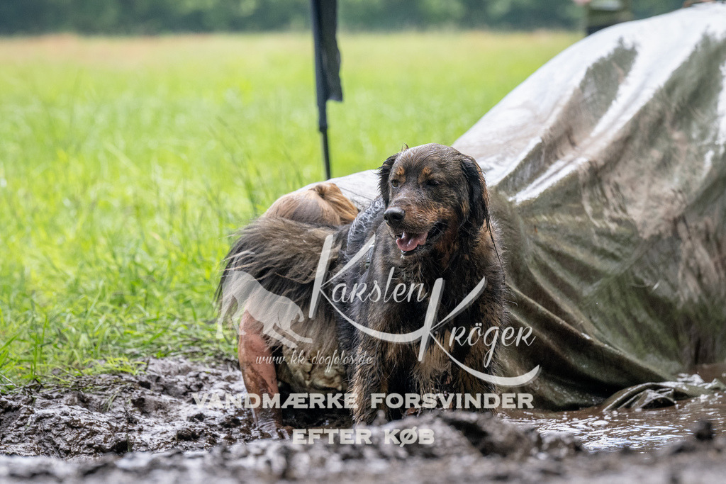 1123_ZZ92627 | kk-dogfotos