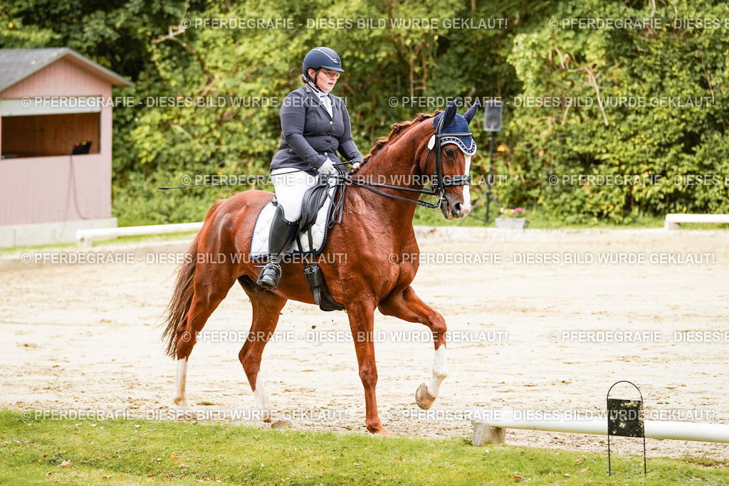 DSC03034 | Pferdegrafie