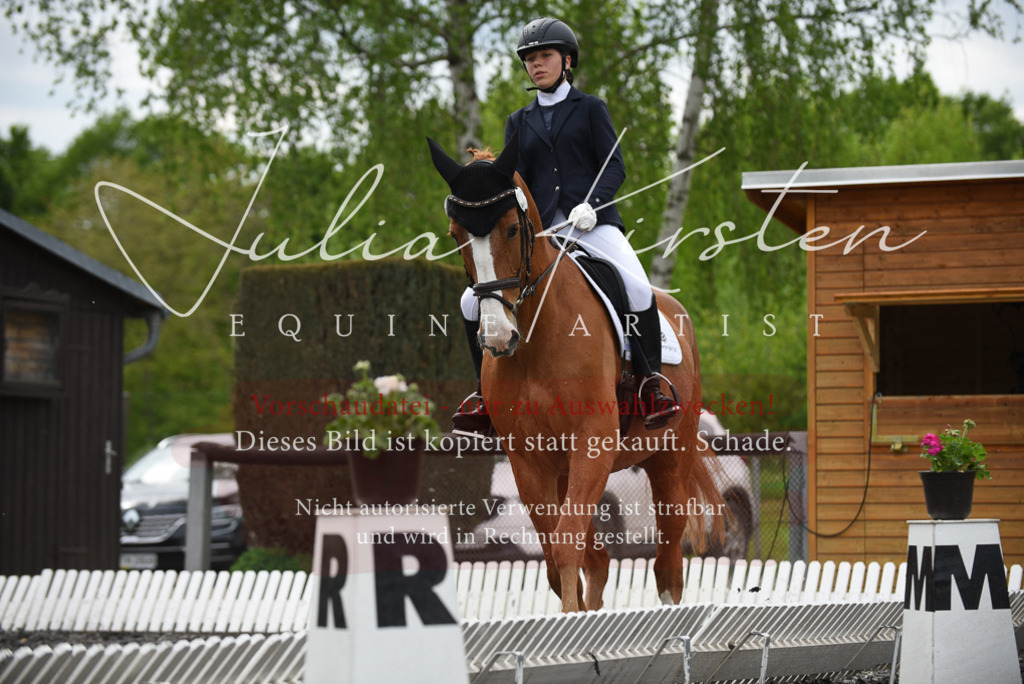 20230513_JK-Röhrsdorf-16-188 | Pferde- und Turnierfotografie in Westsachsen. Pferdeportraits, Auftragszeichnungen und intuitive Kunst.