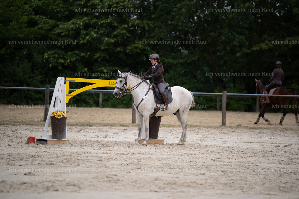WL_ST_69_stoibphotography__SO10810 | working equitationturnier fotograf videograf stoibphotography marixx film working equitation deutschland reitsport turnierfotografie eventfotografie equestrian events