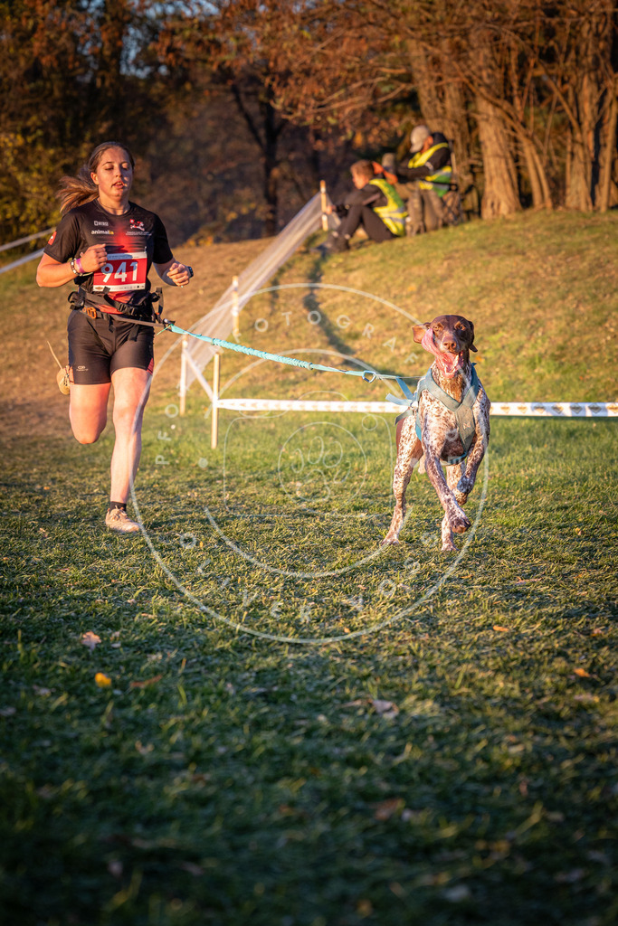 CaniXpix_0L8A1902 | Hundefotografie, Tierfotograf, Pfotenfotografie, Fotoshooting Hund, Hunde Portrait, Hundesport, Hundeportraits, Heideshooting, Hunde, Sportfotograf, Hundefotograf, Turnierhundsport, THS,  - Realisiert mit Pictrs.com