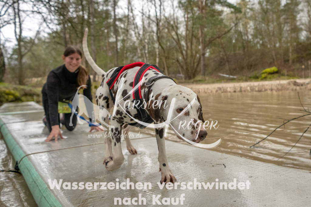 0900_ZZ90080-Bearbeitet-2 | kk-dogfotos