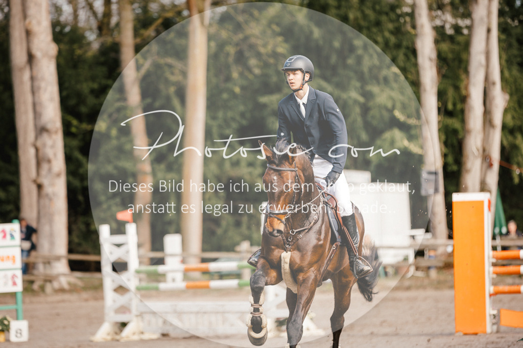 3I6A3410 | Stimmungsvolle Portraits und Reitsportfotografie im Ruhrgebiet und im Münsterland.

Pferdefotografie, Hundefotografie, Tierfotografie, Reportagen, Portraits von Tier und Mensch, Turnierfotografie in Bochum, Recklinghausen, Marl, Haltern am See, Dülmen.. - Realisiert mit Pictrs.com