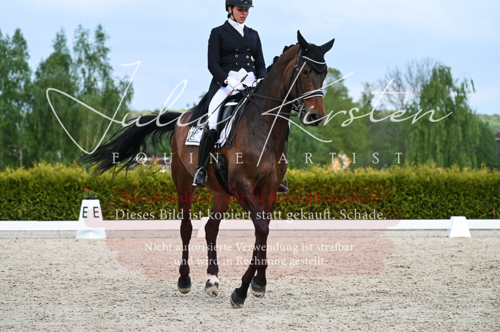 20230513_JK-Röhrsdorf-13-006 | Pferde- und Turnierfotografie in Westsachsen. Pferdeportraits, Auftragszeichnungen und intuitive Kunst.