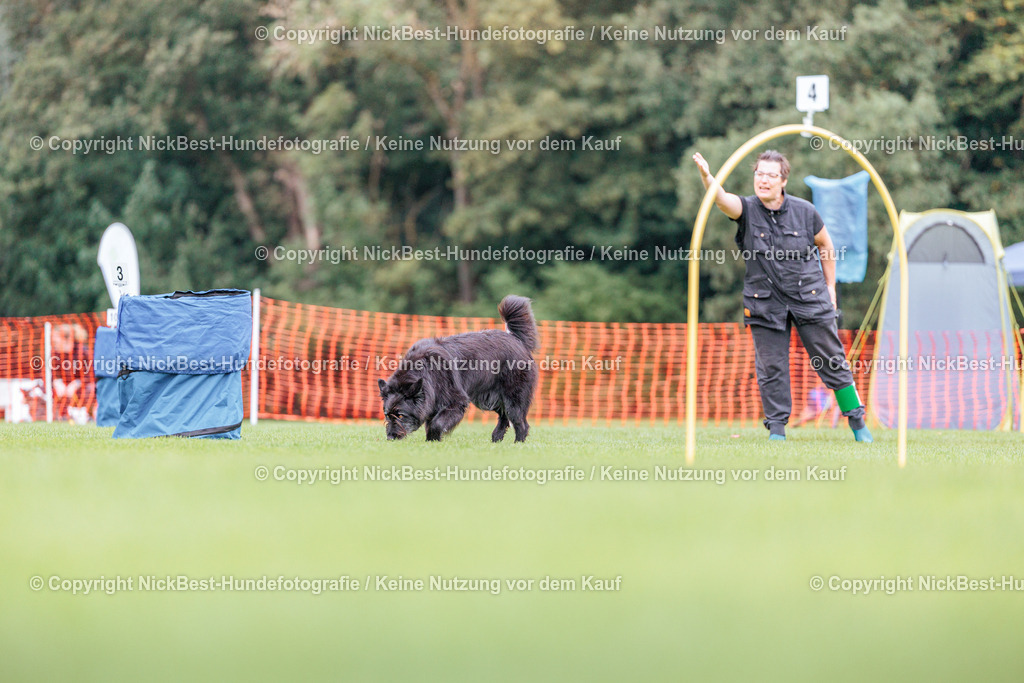 BSP Hoopers-H2-2026-Nickbest-Hundefotografie-TuS Komet Arsten e.V.-4066 | Dein Hund! Dein Moment! Deine Erinnerungen! Hundefotografie in Bremen Blumenthal. Ich fange die besonderen Momente deines Vierbeiners ein – ob Indoor mit Blitzanlage oder in der freien Natur. Sicher dir dein Moment und dein Termin für eure Erinnerungen.