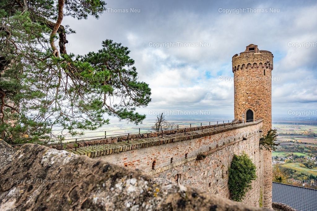 Schloss_Auerbach-11 | Der markante Turm des Auerbacher Schlosses auf dem Schlossberg bei Bensheim mit weitem Blick über die Rheinebene. Ein beliebtes Ausflugsziel an der Hessischen Bergstraße., Schloss Auerbach, Tourismus, Naherholung, Freizeit,, Bild: Thomas Neu