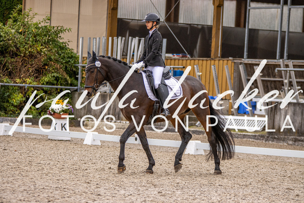 IMG_2845 | Erleben Sie dynamische Sport- und emotionale Tierfotografie in Süddeutschland mit Fotos von Paula. Spezialisiert auf Pferde- und Hundefotografie sowie Sportevents. Kontaktieren Sie mich für einzigartige und ausdrucksstarke Bilder Ihrer besonderen Momente.