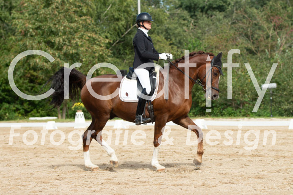 IMG_3466 | Creatify Fotografie