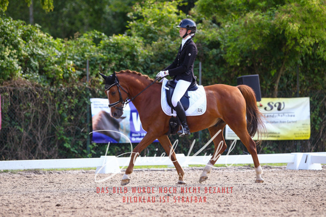 DKP43025 | Turnierfotos kaufen im Webshop von Daniel Kuhl Photography – entdecke professionelle Reitsportfotos aus Turnieren & Events. Hochwertige Turnierbilder online bestellen & sichern. Jetzt Fotos von Reitsportturnieren kaufen!