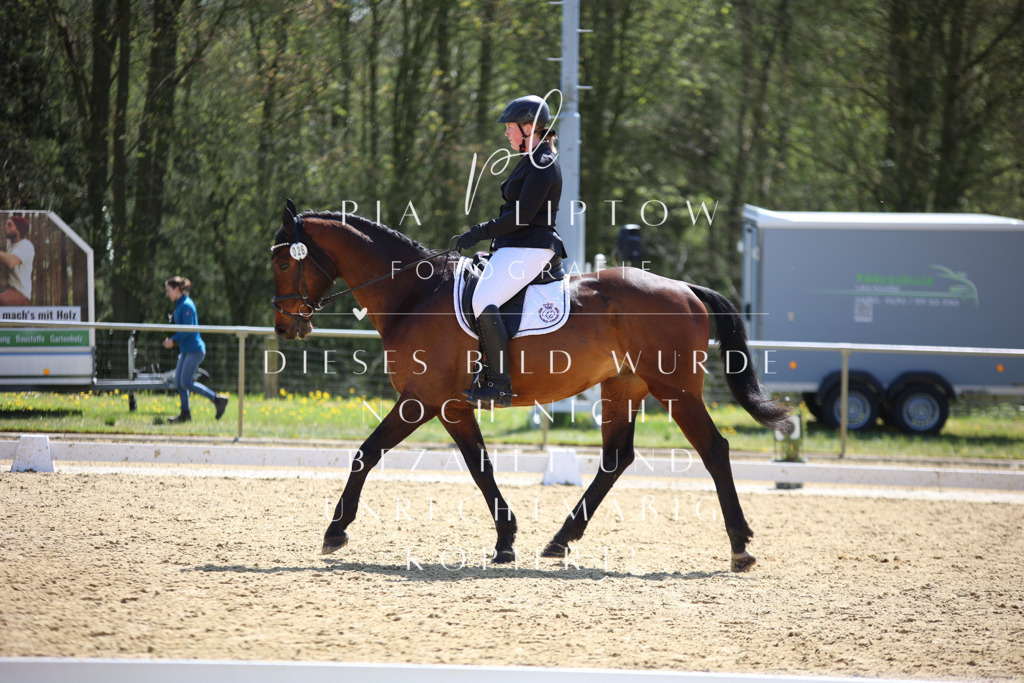 IMGT1672 | pl-fotografie