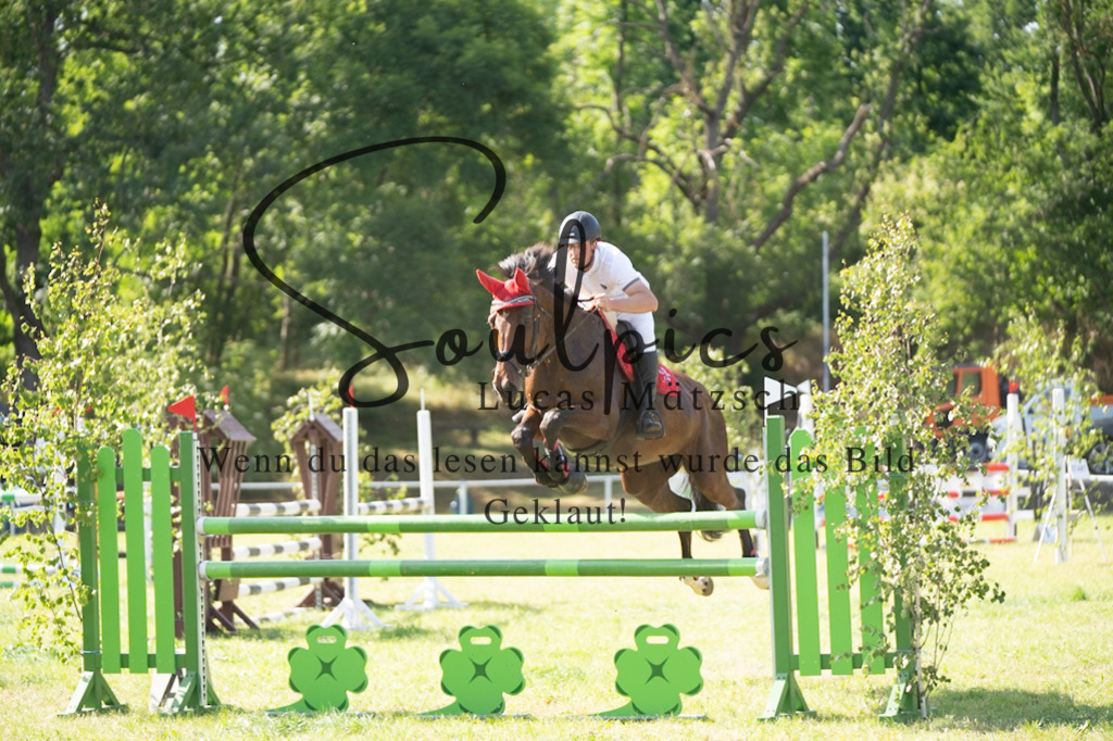 A7V06678 | Pferdefotograf