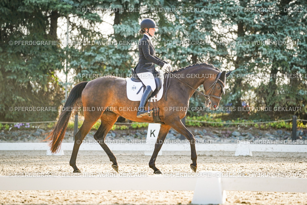 DSC08135 | Pferdegrafie