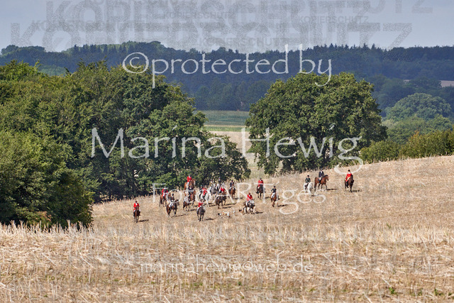 _MCH7958_Marina Hewig | Fotografie, FotoArt, PferdesportArt, Pferdesportfotografie, Landschaftsfotografie, Reisefotografie, Reise, Pferde - Realisiert mit Pictrs.com