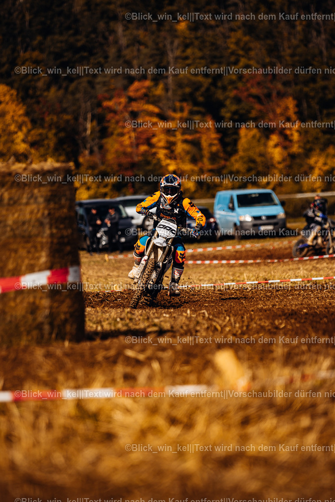 E68A8176 | blick_win_kel