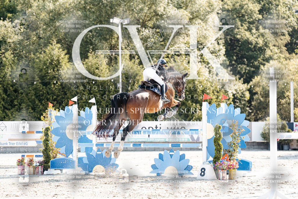 CK901946 | Turnierfotografie Pferdefotografie Trier Rheinland-Pfalz Pferdesport Reitsport Tierfotografie Sportfotografie Pferdevideo Pferdevideografie Equestrianvideography equestrianphotography  - Realisiert mit Pictrs.com