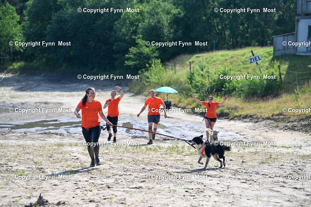 DSC_4332 | Hallo und herzlich Willkommen auf meiner Shop-Seite Fynn Most.

Ich wünsche Dir viel Spaß beim stöbern durch die Bilder, wenn Du Fragen hast oder Bilder vermisst, kannst du mir gerne eine Nachricht schreiben. - Realisiert mit Pictrs.com