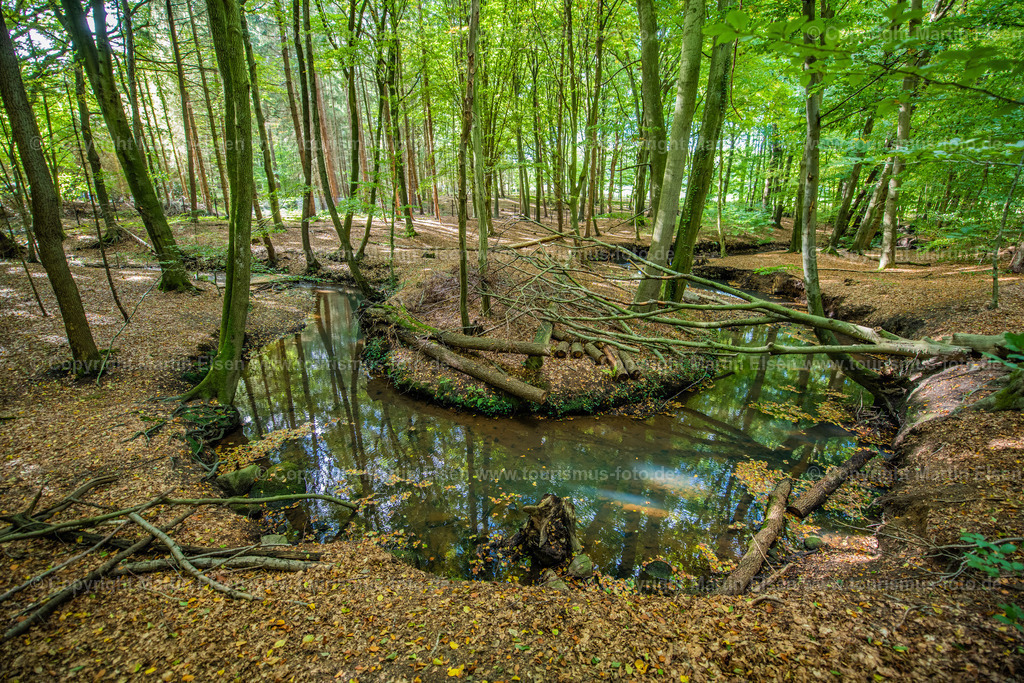 Harsefeld Steinbeck_ELS_3771061022 | Fotos aus den Touristenorten aus Norddeutschland. - Realisiert mit Pictrs.com