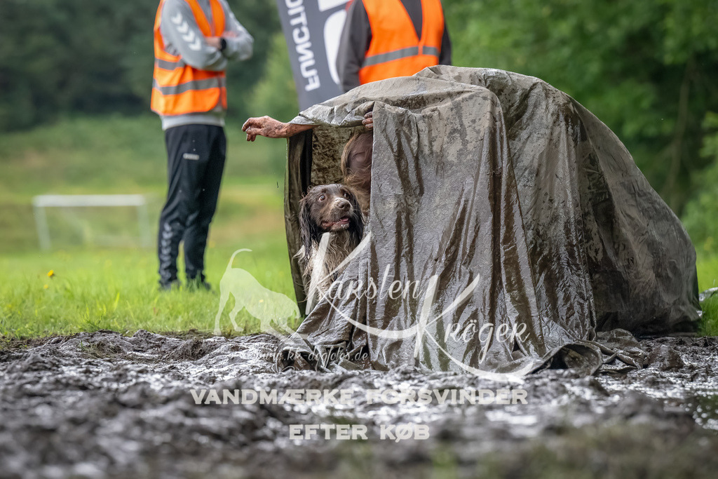 0922_ZZ90905-Bearbeitet | kk-dogfotos