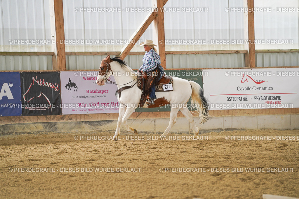 DSC03607 | Pferdegrafie