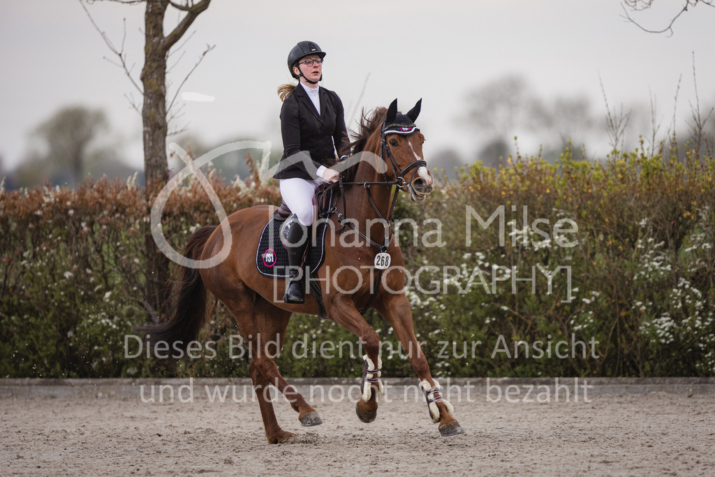 230426_HofSosath_Stil-M-678 | Deine schönsten Turniermomente als professionelle Fotos! Entdecke hochwertige Pferdesport-Fotografie im Online-Shop. Jetzt Fotos finden & bestellen!