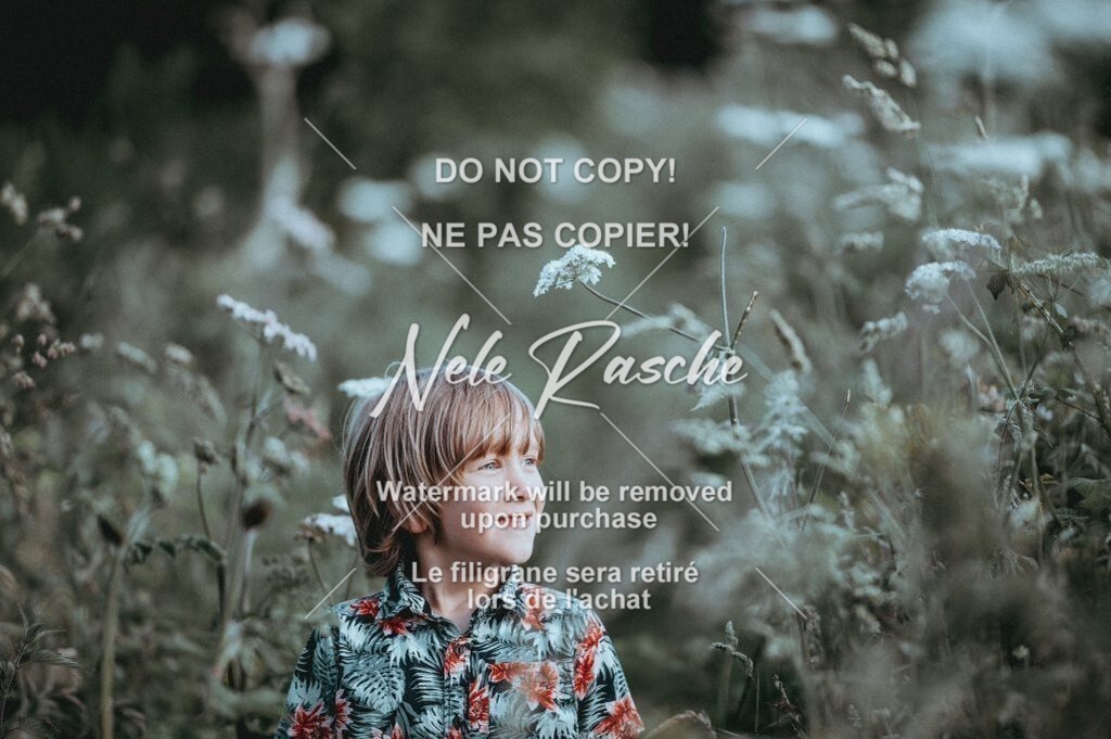 2-04-1025-682 | nelerasche