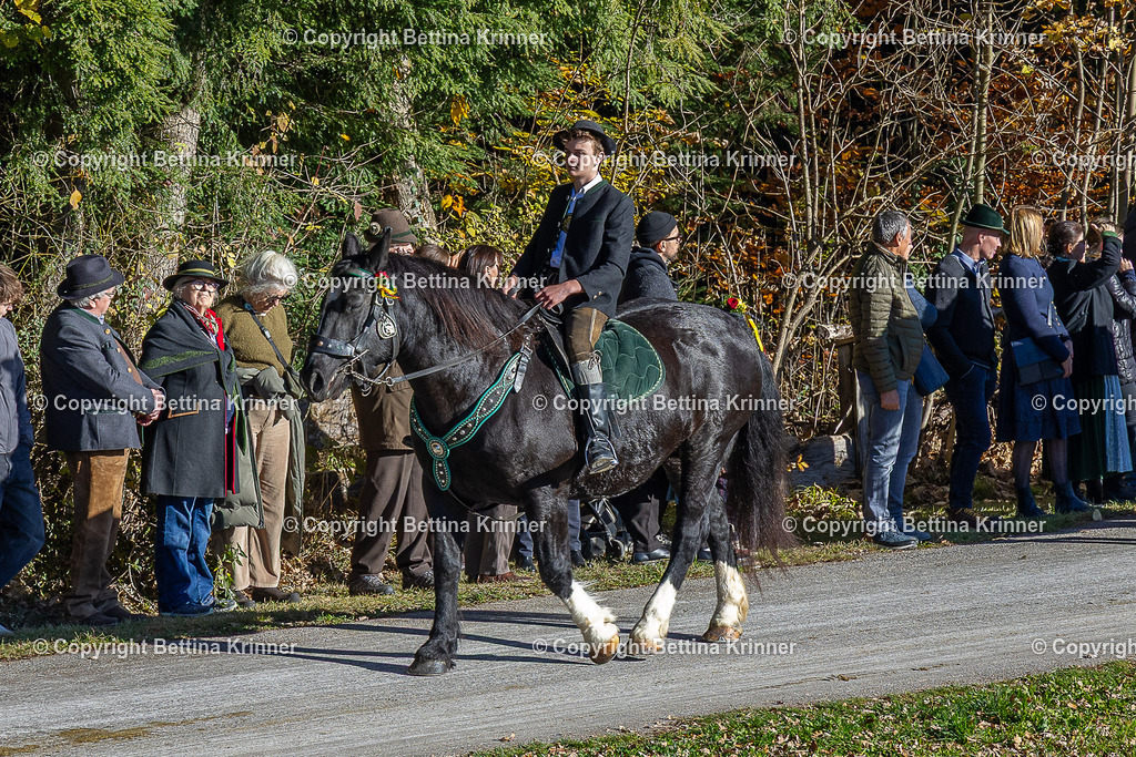 LBT25-675 | foto-bettina-krinner - Realisiert mit Pictrs.com