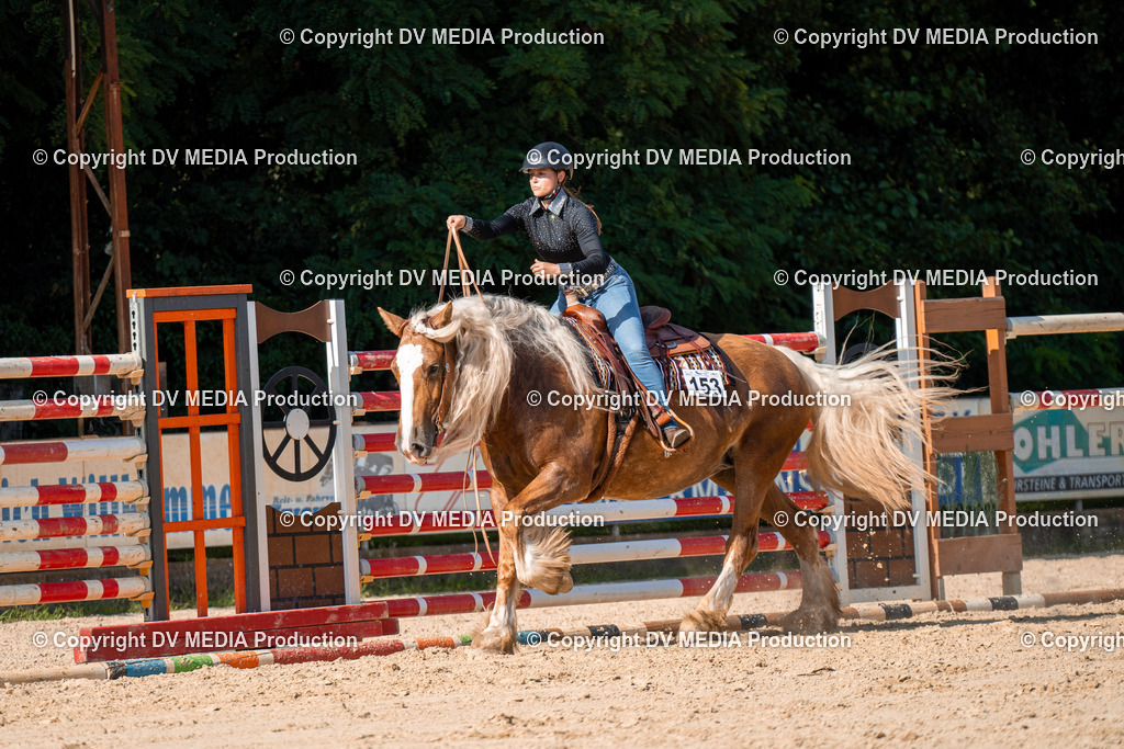 ZH100747 | dv-media-shop - Realisiert mit Pictrs.com