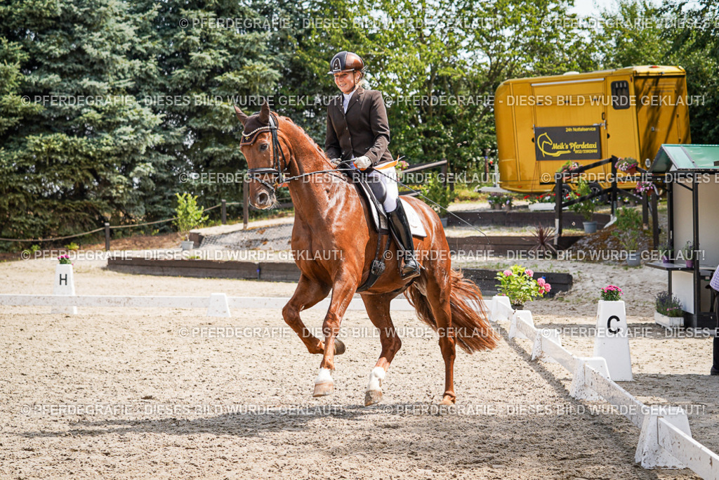 DSC09752 | Pferdegrafie