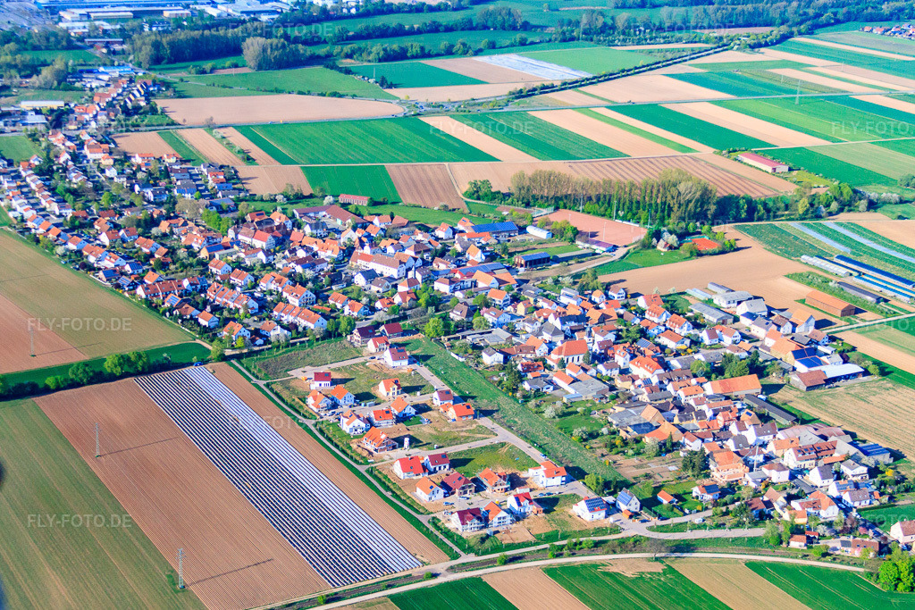 Luftbild: Neubaugebiet Unteres Rappenfeld im Ortsteil Mörlheim in Landau im Bundesland Rheinland-Pfalz in Deutschland. Foto: IMG_39416.jpg vom 09.04.2011 durch Werner Riehm/FLY-FOTO.de